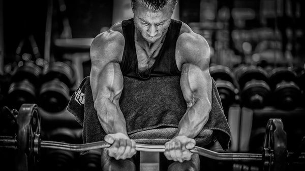 Take A Look On Sarms And How To Get Most From It - Sarmsup
