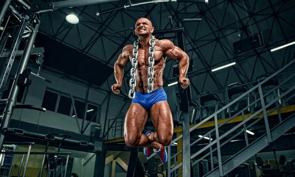 Cycles & Stacks See How Sarms UP Provides You With The Best Sarms | Sarmsup.co - Sarmsup