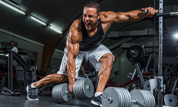 Sarms bodybuilding.com - Sarmsup