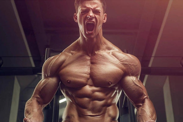 Sarms for Sale at Sarmsup.co - Sarmsup
