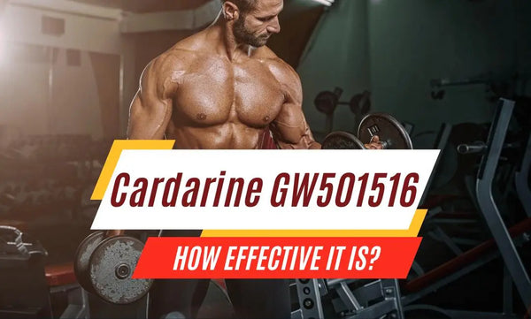 How CARDARINE GW501516 Is Effective? Guide, Dosage, Recommendations