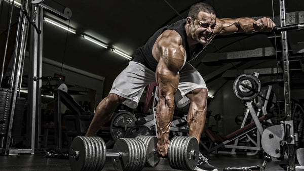 What kind of results you can expect from SARMs? - Sarmsup