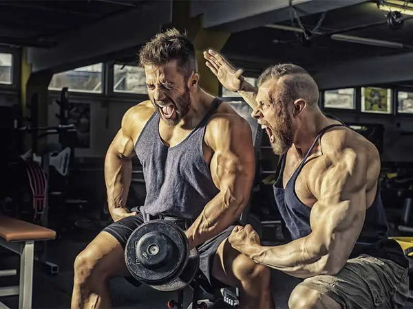 Sarmsup offers you the Best 3 Sarms available for Powerlifters & Bodybuilders | Sarmsup.co - Sarmsup