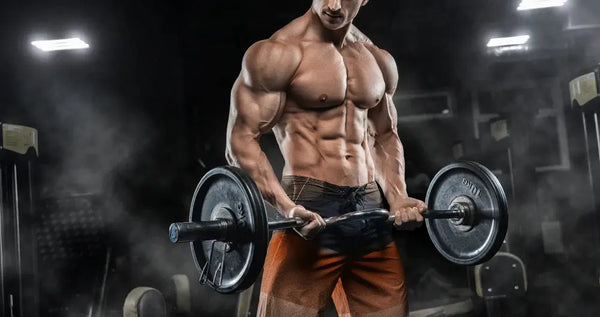Sarms and Bodybuilding: The Ultimate Guide - Sarmsup