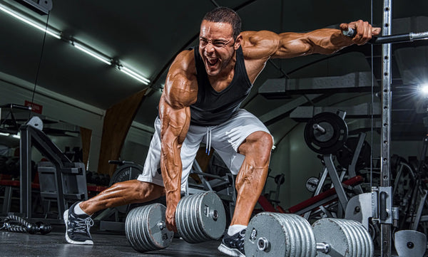 Finding the Best SARMS Store with Sarmsup - Sarmsup