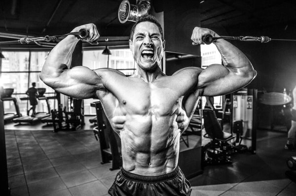Come Join Our Sarms Up Community - Read On To Understand How Sarms Can Work For You! | Sarmsup.co - Sarmsup