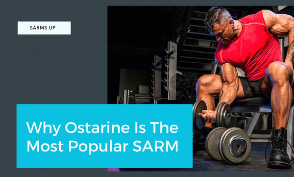 Beyond Muscle Growth: Why Ostarine Is The Most Popular SARM for Overall Health