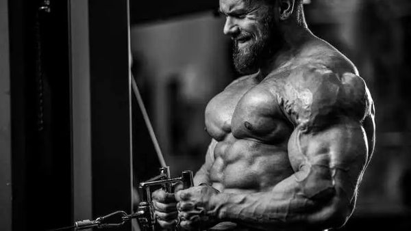 The Power Behind Sarms UP Ostarine MK-2866 and Ripped Max Cardarine GW-501516 | Sarmsup.co - Sarmsup