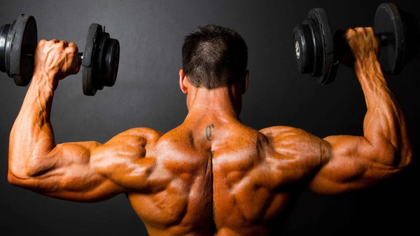 Sarmsup Andro Max LGD-4033 Ligandrol Best Sarm on the Market | Sarmsup.co - Sarmsup