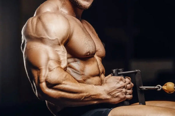 What Are SARMs? - Sarmsup