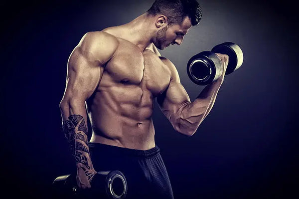 The Perfect Guide To the Best Sarms For Bulking And Cutting - Sarmsup