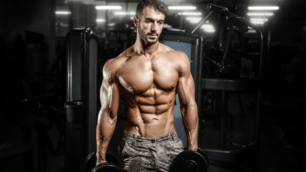 Your Guide to the Best Sarms Stacks For Fat Loss - Sarmsup