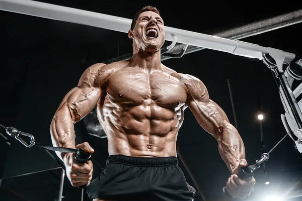 Best Sarms Ripped Max Cardarine GW501516 | Sarmsup.co - Sarmsup